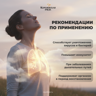 АПИ-КОМПЛЕКС для ЛЕГКИХ, 60 капсул